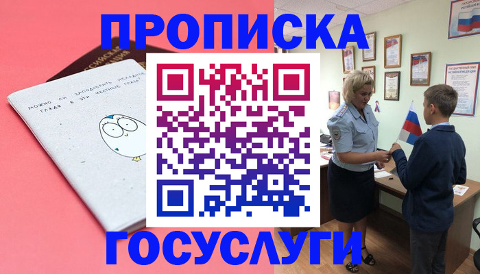 временная регистрация надежно в Камчатской области